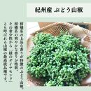 【ぶどう山椒】贈答セット（粉山椒２種）