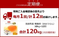 【定期便12回】ヒラノのたまご【輝黄卵(きおうらん)】赤Mサイズ10kg(160個前後)【卵 たまご タマゴ  国産 新鮮 直送 朝ごはん 卵かけごはん AJ009】