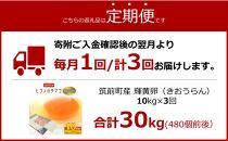 【定期便3回】輝黄卵（きおうらん）72個（6個入り×12パック）【卵 たまご タマゴ  国産 新鮮 直送 朝ごはん 卵かけごはん AJ010】