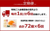 【定期便6回】輝黄卵（きおうらん）72個（6個入り×12パック）【卵 たまご タマゴ  国産 新鮮 直送 朝ごはん 卵かけごはん AJ011】