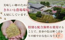 【定期便6回】輝黄卵（きおうらん）72個（6個入り×12パック）【卵 たまご タマゴ  国産 新鮮 直送 朝ごはん 卵かけごはん AJ011】