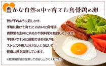 【定期便 全12回】大分うこっけい卵　生食用12個（6個×2パック）＜お試しサイズ／使い切りにぴったり！＞