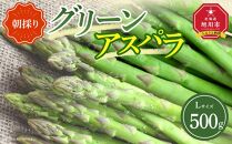 【先行予約】朝採りグリーンアスパラL500ｇ（2025年5月下旬から順次発送予定） 【 アスパラ アスパラガス グリーンアスパラ 朝採り 直送 産地直送 旬 春 北海道 とれたて お取り寄せ 冷蔵配送 冷蔵 旭川市 】 _04657