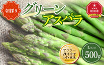 【先行予約】朝採り&nbsp;グリーンアスパラ&nbsp;L&nbsp;500g&nbsp;(2026年5月下旬発送開始)&nbsp;【&nbsp;アスパラ&nbsp;アスパラガス&nbsp;グリーンアスパラ&nbsp;【先行予約】朝採り&nbsp;直送&nbsp;産地直送&nbsp;旬&nbsp;春&nbsp;北海道&nbsp;とれたて&nbsp;お取り寄せ&nbsp;冷蔵配送&nbsp;冷蔵&nbsp;旭川市&nbsp;】&nbsp;_04657