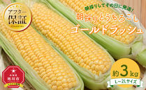 【26年先行予約】朝採り　とうもろこし　ゴールドラッシュ　約3kg（L～2Lサイズ×&nbsp;8本）（2026年8月中旬から順次発送予定）【&nbsp;人気&nbsp;北海道産&nbsp;糖度&nbsp;生&nbsp;野菜&nbsp;スイートコーン&nbsp;産地直送&nbsp;バーベキュー&nbsp;BBQ&nbsp;コーン&nbsp;旬&nbsp;お取り寄せ&nbsp;旭川市&nbsp;北海道&nbsp;】_04659