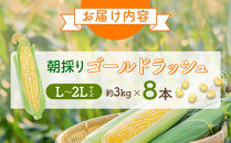 【26年先行予約】朝採り　とうもろこし　ゴールドラッシュ　約3kg（L～2Lサイズ×&nbsp;8本）（2026年8月中旬から順次発送予定）【&nbsp;人気&nbsp;北海道産&nbsp;糖度&nbsp;生&nbsp;野菜&nbsp;スイートコーン&nbsp;産地直送&nbsp;バーベキュー&nbsp;BBQ&nbsp;コーン&nbsp;旬&nbsp;お取り寄せ&nbsp;旭川市&nbsp;北海道&nbsp;】_04659