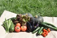 7・8月　計2回定期便　北海道産旬の無農薬栽培　野菜の詰め合わせ6～8種類 【 サニーレタス 水菜 チンゲンサイ さやえんどう スナップエンドウ さやいんげん ささぎ豆 春大根 ズッキーニ なす トマト きゅうり ししとう なんばん オクラ カボチャ じゃがいも にんじん 北海道産 無農薬栽培 野菜セット 季節の野菜 新鮮 お取り寄せ 野菜ボックス 安全 安心 野菜直送 人気 旭川市 】_04700