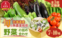 【2026年先行予約】7・8・9月　計3回定期便　北海道産旬の無農薬栽培　野菜の詰め合わせ7～10種類&nbsp;【&nbsp;サニーレタス&nbsp;水菜&nbsp;チンゲンサイ&nbsp;さやえんどう&nbsp;スナップエンドウ&nbsp;さやいんげん&nbsp;ささぎ豆&nbsp;春大根&nbsp;ズッキーニ&nbsp;なす&nbsp;トマト&nbsp;きゅうり&nbsp;ししとう&nbsp;なんばん&nbsp;オクラ&nbsp;カボチャ&nbsp;じゃがいも&nbsp;にんじん&nbsp;北海道産&nbsp;無農薬栽培&nbsp;野菜セット&nbsp;季節の野菜&nbsp;新鮮&nbsp;お取り寄せ&nbsp;野菜ボックス&nbsp;安全&nbsp;安心&nbsp;野菜直送&nbsp;人気&nbsp;旭川市&nbsp;】_04701