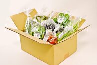 7・8・9・10月　計4回定期便　北海道産旬の無農薬栽培　野菜の詰め合わせ6～8種類 【 サニーレタス 水菜 チンゲンサイ さやえんどう スナップエンドウ さやいんげん ささぎ豆 春大根 ズッキーニ なす トマト きゅうり ししとう なんばん オクラ カボチャ じゃがいも にんじん 北海道産 無農薬栽培 野菜セット 季節の野菜 新鮮 お取り寄せ 野菜ボックス 安全 安心 野菜直送 人気 旭川市 】_04702