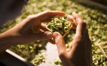 不室屋・能登復興支援　宝の麩いしかわ10個入&nbsp;石川&nbsp;金沢&nbsp;加賀百万石&nbsp;加賀&nbsp;百万石&nbsp;北陸&nbsp;北陸復興&nbsp;北陸支援&nbsp;能登半島地震&nbsp;被災地支援&nbsp;おすまし&nbsp;お麩&nbsp;麩&nbsp;汁&nbsp;ギフト&nbsp;能登半島地震&nbsp;被災地支援&nbsp;おすまし&nbsp;お麩&nbsp;麩&nbsp;汁&nbsp;ギフト&nbsp;能登半島地震&nbsp;被災地支援&nbsp;おすまし&nbsp;お麩&nbsp;麩&nbsp;汁&nbsp;ギフト&nbsp;能登半島地震&nbsp;被災地支援&nbsp;おすまし&nbsp;お麩&nbsp;麩&nbsp;汁&nbsp;ギフト&nbsp;能登半島地震&nbsp;被災地支援&nbsp;おすまし&nbsp;お麩&nbsp;麩&nbsp;汁&nbsp;ギフト