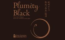 熟成南高梅酒「Plumity Black」 A-808