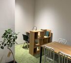 【5本セット】国内産 亜熱帯観葉植物 人気のフィカス・ウンベラータなど 8号 丸鉢 沖縄柄飾り布つき｜沖縄　那覇市　観葉植物  植物 プランター 人気 亜熱帯 雑貨 日用品 花 植木鉢 盆栽