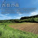 【そば屋のゆず胡椒】80g×10瓶 そば屋でリピーターが続出する秘伝の柚子胡椒（無添加・宮城県産）