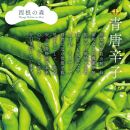 【そば屋のゆず胡椒】80g×10瓶 そば屋でリピーターが続出する秘伝の柚子胡椒（無添加・宮城県産）
