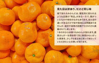 【年末発送指定】【12月25日～12月29日配送】みかん&nbsp;山から直送&nbsp;箱込&nbsp;2.5kg&nbsp;(&nbsp;内容量約&nbsp;2.3kg&nbsp;)&nbsp;鮮度優先ごろごろ規格&nbsp;和歌山県産&nbsp;産地直送&nbsp;家庭用【みかんの会】