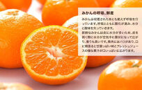 【年末発送指定】【12月25日～12月29日配送】みかん&nbsp;山から直送&nbsp;箱込&nbsp;2.5kg&nbsp;(&nbsp;内容量約&nbsp;2.3kg&nbsp;)&nbsp;鮮度優先ごろごろ規格&nbsp;和歌山県産&nbsp;産地直送&nbsp;家庭用【みかんの会】