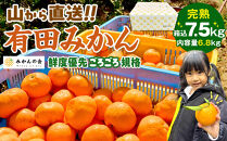 【年末発送指定】【12月25日～12月29日配送】みかん 山から直送 箱込 7.5kg ( 内容量約 6.8kg ) 鮮度優先ごろごろ規格 和歌山県産 産地直送 家庭用【みかんの会】