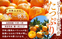【年末発送指定】【12月25日～12月29日配送】みかん 山から直送 箱込 7.5kg ( 内容量約 6.8kg ) 鮮度優先ごろごろ規格 和歌山県産 産地直送 家庭用【みかんの会】