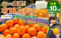 【年末発送指定】【12月25日～12月29日配送】みかん 山から直送 箱込 10kg ( 内容量約 9.2kg ) 鮮度優先ごろごろ規格 和歌山県産 産地直送 家庭用【みかんの会】