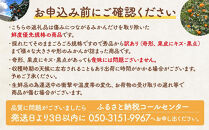 【年末発送指定】【12月25日～12月29日配送】みかん 山から直送 箱込 10kg ( 内容量約 9.2kg ) 鮮度優先ごろごろ規格 和歌山県産 産地直送 家庭用【みかんの会】