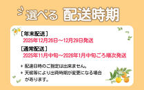 【年末発送指定】【12月25日～12月29日配送】みかん 山から直送 箱込 10kg ( 内容量約 9.2kg ) 鮮度優先ごろごろ規格 和歌山県産 産地直送 家庭用【みかんの会】