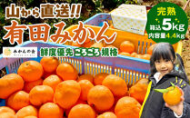 【年末発送指定】【12月25日～12月29日配送】みかん 山から直送 箱込 5kg ( 内容量約 4.4kg ) 鮮度優先ごろごろ規格 和歌山県産 産地直送 家庭用【みかんの会】
