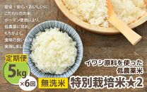 【先行予約】【令和7年産 新米】 《定期便6回》特別栽培米 コシヒカリ 5kg × 6回 （計30kg） 無洗米 低農薬 / 北陸 福井県産 あわら市 ブランド米 白米 お米 コメ 特栽米 ※2025年9月下旬以降順次発送