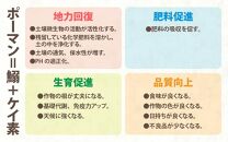 【先行予約】【令和7年産 新米】 《定期便6回》特別栽培米 コシヒカリ 5kg × 6回 （計30kg） 無洗米 低農薬 / 北陸 福井県産 あわら市 ブランド米 白米 お米 コメ 特栽米 ※2025年9月下旬以降順次発送