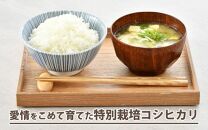 【先行予約】【令和7年産 新米】 《定期便6回》特別栽培米 コシヒカリ 5kg × 6回 （計30kg） 無洗米 低農薬 / 北陸 福井県産 あわら市 ブランド米 白米 お米 コメ 特栽米 ※2025年9月下旬以降順次発送