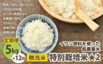 【先行予約】【令和7年産 新米】 《定期便12回》特別栽培米 コシヒカリ 5kg × 12回 （計60kg） 無洗米 低農薬 / 北陸 福井県産 あわら市 ブランド米 白米 お米 コメ 特栽米 ※2025年9月下旬以降順次発送