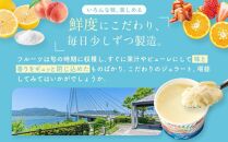 【お中元ギフト】しまなみ・瀬戸田の素材がたっぷり！ジェラート8個
