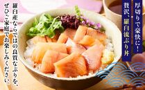【2025年11月発送】北海道 知床羅臼産 天然ぶり刺身 1kg (250g×4パック) 魚 海産物 魚介 魚介類 ブリ 鰤 刺身 ご飯のお供 冷凍 生産者 支援 応援