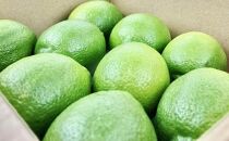 【お歳暮ギフト】【レモン島から贈る】安心の国産グリーンレモン1kg  | 産地直送 送料無料 フルーツ 防腐剤不使用 ノーワックス もりの農園