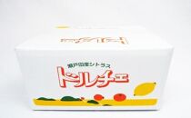 【お歳暮ギフト】レモン島から贈る安心の国産グリーンレモン約3kg | 産地直送 送料無料 フルーツ 防腐剤不使用 ノーワックス もりの農園