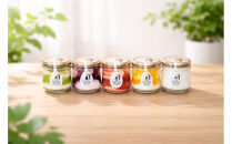 新食感&nbsp;とろけるくちどけヨーグルト&nbsp;プレミアムセレクション５種（プレーン・ストロベリー・ブルーベリー・マンゴー・キウイ）130ｇ×各1個　計5個