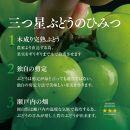 【訳あり】星乃シャインマスカット 岡山県産 1.8kg以上 3房〜4房