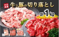 大分県産 牛・豚の切り落としセット（真空包装） 計1kg_2472R