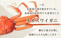 「訳あり」オオズワイガニボイル　2尾　合計約900g