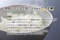 【宮城県産&nbsp;だて正夢】令和7年度産&nbsp;精米&nbsp;10kg（5kg×2袋）●【米&nbsp;お米&nbsp;こめ&nbsp;コメ&nbsp;ご飯&nbsp;ごはん】