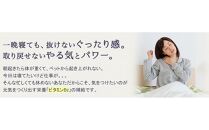 エーザイ　チョコラBBハイパー　10本