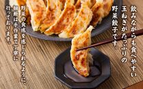 【食感と昆布だしにこだわり】 【2回定期便】お酒によく合う玉ねぎ餃子40個(10個×4箱)【 餃子 ぎょうざ 玉ねぎ餃子 冷凍餃子 加工品 冷凍 おつまみ つまみ 食品 グルメ お取り寄せ お取り寄せグルメ 八雲町 北海道 】