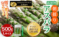 【2026年先行予約】露地物朝採りアスパラ　鮮度保持フィルム入り　Lサイズ　500g×1(5月中旬発送開始予定)【&nbsp;アスパラ&nbsp;アスパラガス&nbsp;朝採り&nbsp;とれたて&nbsp;野菜&nbsp;旬&nbsp;小分け&nbsp;保存&nbsp;産直&nbsp;産地直送&nbsp;お取り寄せ&nbsp;旭川市&nbsp;北海道&nbsp;】_04750