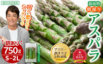 ◆2026年先行予約◆【訳あり】露地物朝採りアスパラ 750g×1 　鮮度保持フィルム入り(5月中旬発送開始予定) 【 アスパラ アスパラガス 朝採り とれたて 野菜 旬 小分け 保存 産直 産地直送 お取り寄せ 旭川市 北海道 】_04751