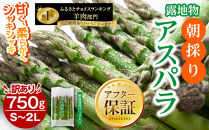 ◆2026年先行予約◆【訳あり】露地物朝採りアスパラ&nbsp;750g×1&nbsp;　鮮度保持フィルム入り(5月中旬発送開始予定)&nbsp;【&nbsp;アスパラ&nbsp;アスパラガス&nbsp;朝採り&nbsp;とれたて&nbsp;野菜&nbsp;旬&nbsp;小分け&nbsp;保存&nbsp;産直&nbsp;産地直送&nbsp;お取り寄せ&nbsp;旭川市&nbsp;北海道&nbsp;】_04751