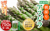 ◆2026年先行予約◆【訳あり】露地物朝採りアスパラ&nbsp;750g×1&nbsp;　鮮度保持フィルム入り(5月中旬発送開始予定)&nbsp;【&nbsp;アスパラ&nbsp;アスパラガス&nbsp;朝採り&nbsp;とれたて&nbsp;野菜&nbsp;旬&nbsp;小分け&nbsp;保存&nbsp;産直&nbsp;産地直送&nbsp;お取り寄せ&nbsp;旭川市&nbsp;北海道&nbsp;】_04751