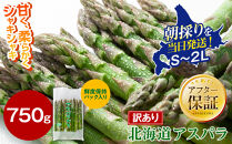 【2027年先行予約】【訳あり】露地物朝採りアスパラ&nbsp;750g×1&nbsp;　鮮度保持フィルム入り（5月中旬発送開始予定）【&nbsp;アスパラ&nbsp;アスパラガス&nbsp;朝採り&nbsp;とれたて&nbsp;野菜&nbsp;旬&nbsp;小分け&nbsp;保存&nbsp;産直&nbsp;産地直送&nbsp;お取り寄せ&nbsp;旭川市&nbsp;北海道&nbsp;】_04751