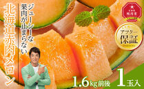 【26年発送先行予約】北海道産赤肉メロン　1玉入り　1.6kg前後（2026年7月中旬から発送開始予定） 【 果物 くだもの フルーツ メロン 赤肉 赤肉メロン 旬 お取り寄せ 甘い 北海道産 旭川市 北海道 】_04752
