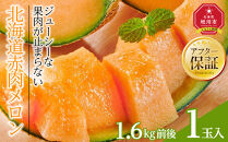 【26年発送先行予約】北海道産赤肉メロン　1玉入り　1.6kg前後（2026年7月中旬から発送開始予定）&nbsp;【&nbsp;果物&nbsp;くだもの&nbsp;フルーツ&nbsp;メロン&nbsp;赤肉&nbsp;赤肉メロン&nbsp;旬&nbsp;お取り寄せ&nbsp;甘い&nbsp;北海道産&nbsp;旭川市&nbsp;北海道&nbsp;】_04752