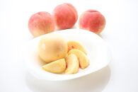 【2025年発送】大人気！夏の収穫白桃　約2kg