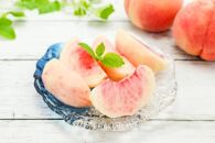 【2025年発送】＼ 硬めの桃！／  秋の収穫白桃　約2kg（4～10玉）